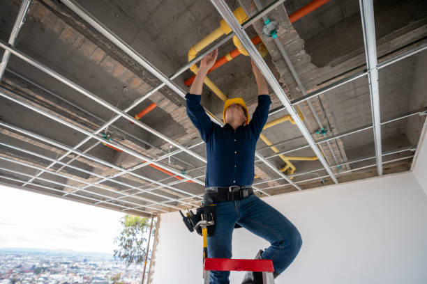 Best Local Plumber Services  in Herington, KS